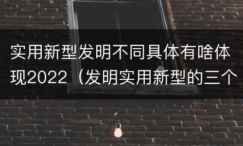 实用新型发明不同具体有啥体现2022（发明实用新型的三个特点）