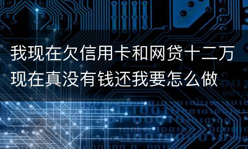 我现在欠信用卡和网贷十二万现在真没有钱还我要怎么做
