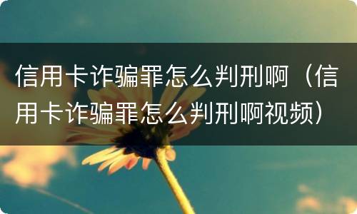 信用卡诈骗罪怎么判刑啊（信用卡诈骗罪怎么判刑啊视频）