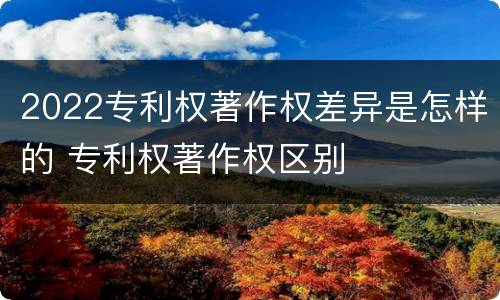 2022专利权著作权差异是怎样的 专利权著作权区别