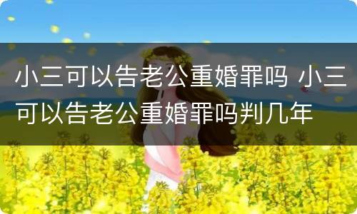 小三可以告老公重婚罪吗 小三可以告老公重婚罪吗判几年