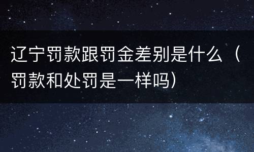 辽宁罚款跟罚金差别是什么（罚款和处罚是一样吗）