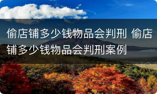 偷店铺多少钱物品会判刑 偷店铺多少钱物品会判刑案例