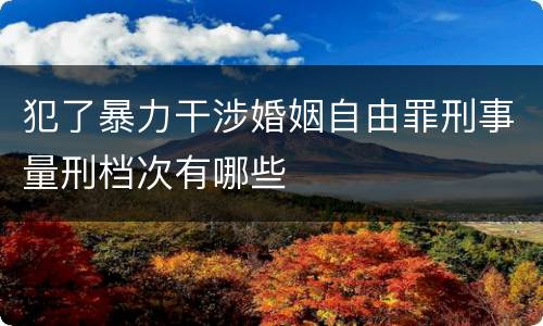 犯了暴力干涉婚姻自由罪刑事量刑档次有哪些