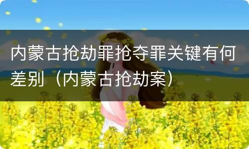 内蒙古抢劫罪抢夺罪关键有何差别（内蒙古抢劫案）