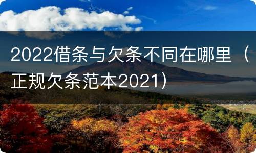 2022借条与欠条不同在哪里（正规欠条范本2021）