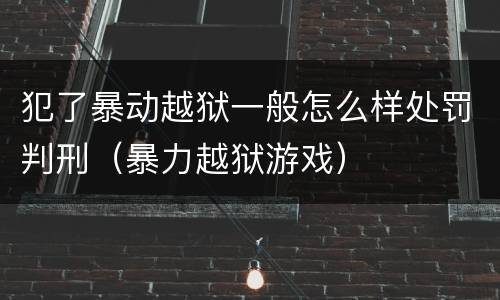 犯了暴动越狱一般怎么样处罚判刑（暴力越狱游戏）