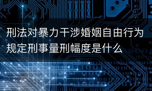 刑法对暴力干涉婚姻自由行为规定刑事量刑幅度是什么