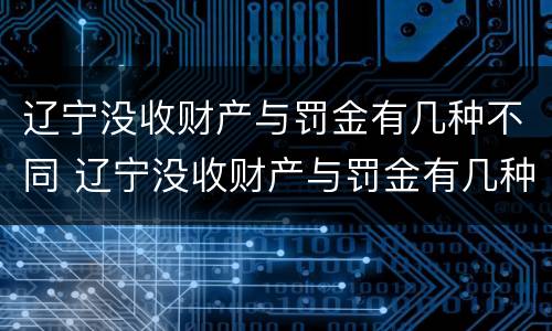 辽宁没收财产与罚金有几种不同 辽宁没收财产与罚金有几种不同处理方法