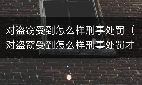 对盗窃受到怎么样刑事处罚（对盗窃受到怎么样刑事处罚才有效）