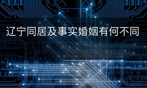 辽宁同居及事实婚姻有何不同