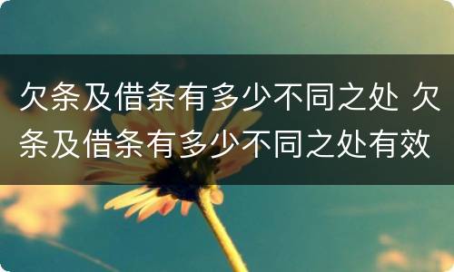 欠条及借条有多少不同之处 欠条及借条有多少不同之处有效
