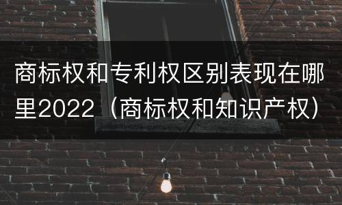 商标权和专利权区别表现在哪里2022（商标权和知识产权）