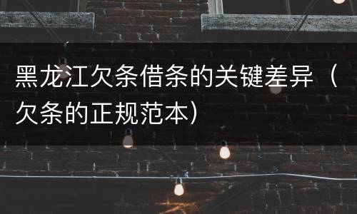 黑龙江欠条借条的关键差异（欠条的正规范本）