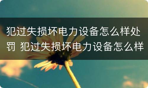 犯过失损坏电力设备怎么样处罚 犯过失损坏电力设备怎么样处罚的