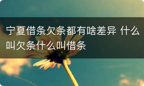 宁夏借条欠条都有啥差异 什么叫欠条什么叫借条