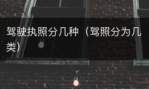 驾驶执照分几种（驾照分为几类）