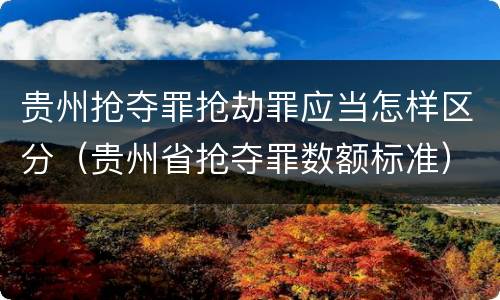 贵州抢夺罪抢劫罪应当怎样区分（贵州省抢夺罪数额标准）