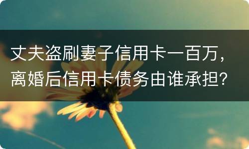 丈夫盗刷妻子信用卡一百万，离婚后信用卡债务由谁承担？