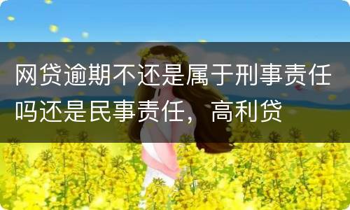 网贷逾期不还是属于刑事责任吗还是民事责任，高利贷