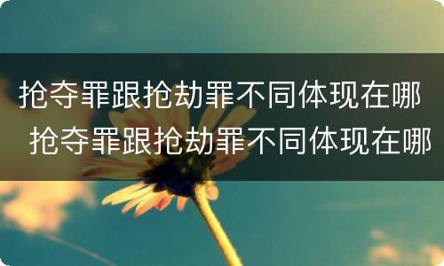 抢夺罪跟抢劫罪不同体现在哪 抢夺罪跟抢劫罪不同体现在哪里