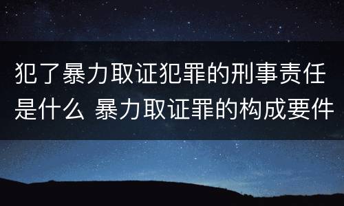 犯了暴力取证犯罪的刑事责任是什么 暴力取证罪的构成要件