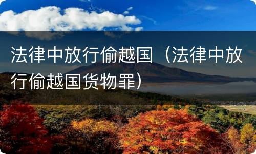 法律中放行偷越国（法律中放行偷越国货物罪）