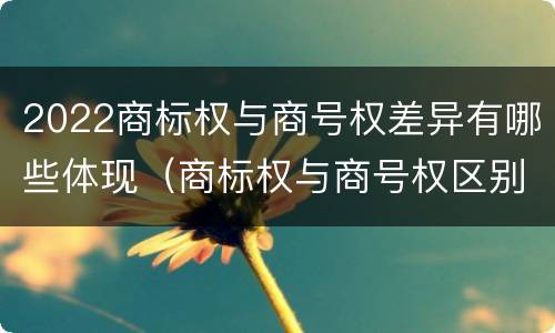 2022商标权与商号权差异有哪些体现（商标权与商号权区别）