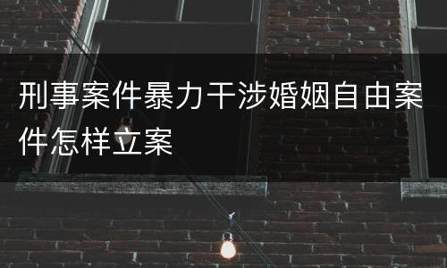 刑事案件暴力干涉婚姻自由案件怎样立案