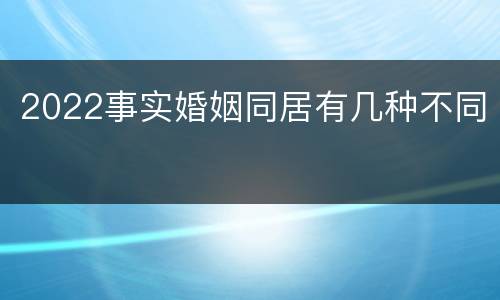 2022事实婚姻同居有几种不同