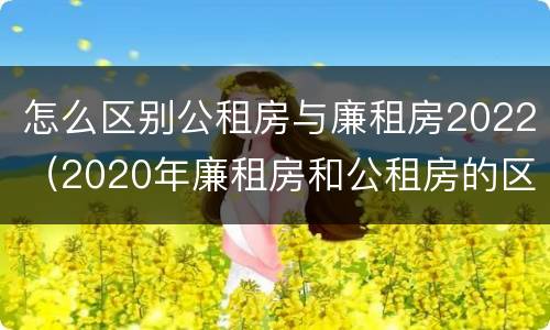 怎么区别公租房与廉租房2022（2020年廉租房和公租房的区别）