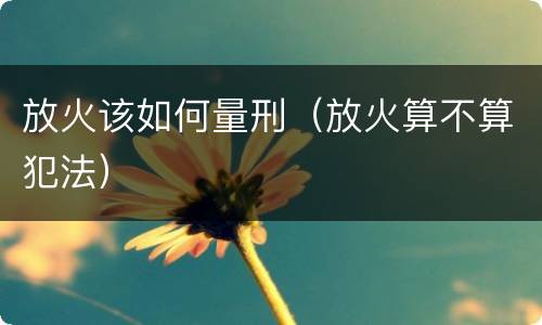 放火该如何量刑（放火算不算犯法）