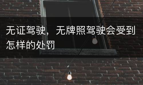 无证驾驶，无牌照驾驶会受到怎样的处罚