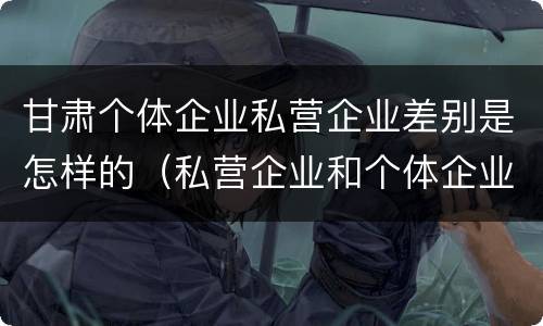 甘肃个体企业私营企业差别是怎样的（私营企业和个体企业的区别）