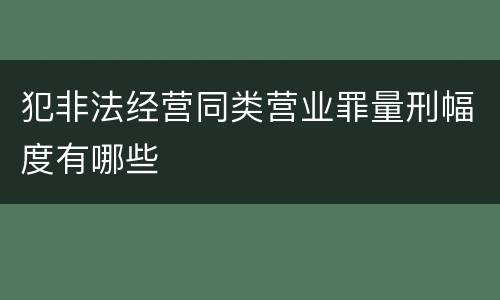 犯非法经营同类营业罪量刑幅度有哪些