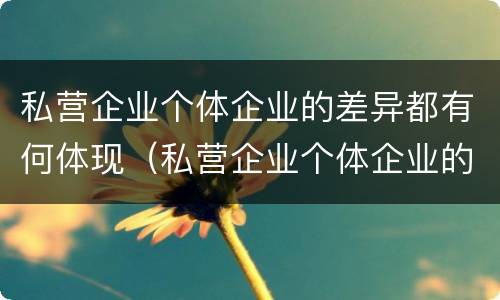私营企业个体企业的差异都有何体现（私营企业个体企业的差异都有何体现呢）