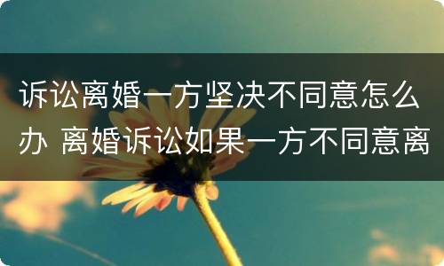 诉讼离婚一方坚决不同意怎么办 离婚诉讼如果一方不同意离婚