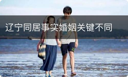 辽宁同居事实婚姻关键不同
