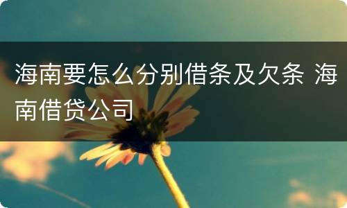 海南要怎么分别借条及欠条 海南借贷公司