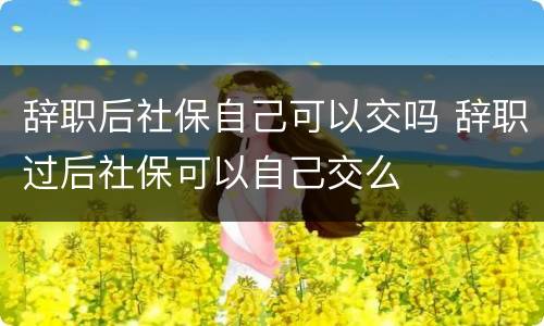 辞职后社保自己可以交吗 辞职过后社保可以自己交么