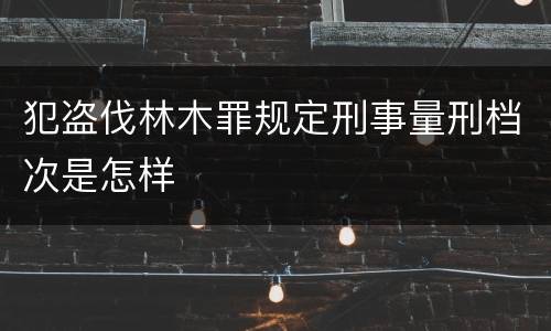 犯盗伐林木罪规定刑事量刑档次是怎样