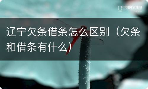 辽宁欠条借条怎么区别（欠条和借条有什么）