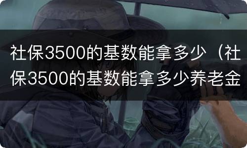 社保3500的基数能拿多少（社保3500的基数能拿多少养老金）