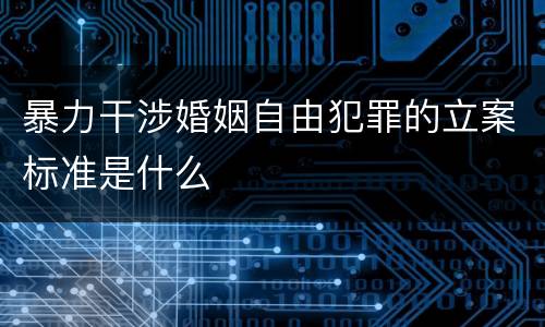 暴力干涉婚姻自由犯罪的立案标准是什么