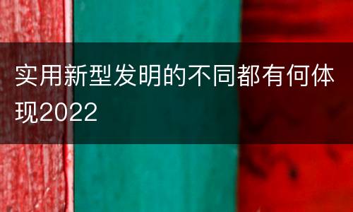 实用新型发明的不同都有何体现2022