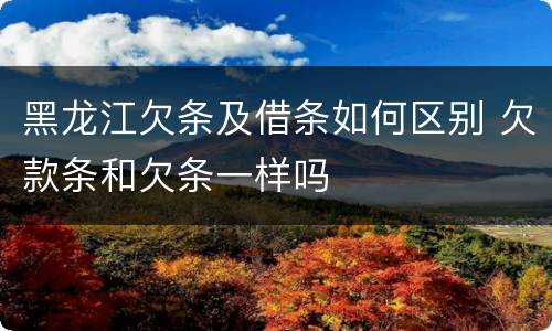 黑龙江欠条及借条如何区别 欠款条和欠条一样吗