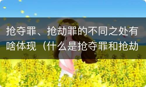 抢夺罪、抢劫罪的不同之处有啥体现（什么是抢夺罪和抢劫罪）