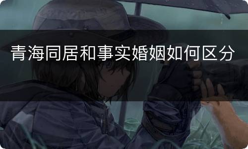 青海同居和事实婚姻如何区分