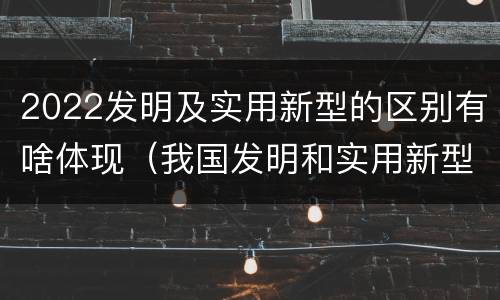 2022发明及实用新型的区别有啥体现（我国发明和实用新型的标准）