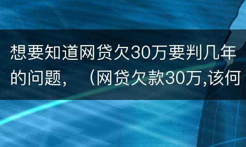 想要知道网贷欠30万要判几年的问题，（网贷欠款30万,该何去何从?求上岸）